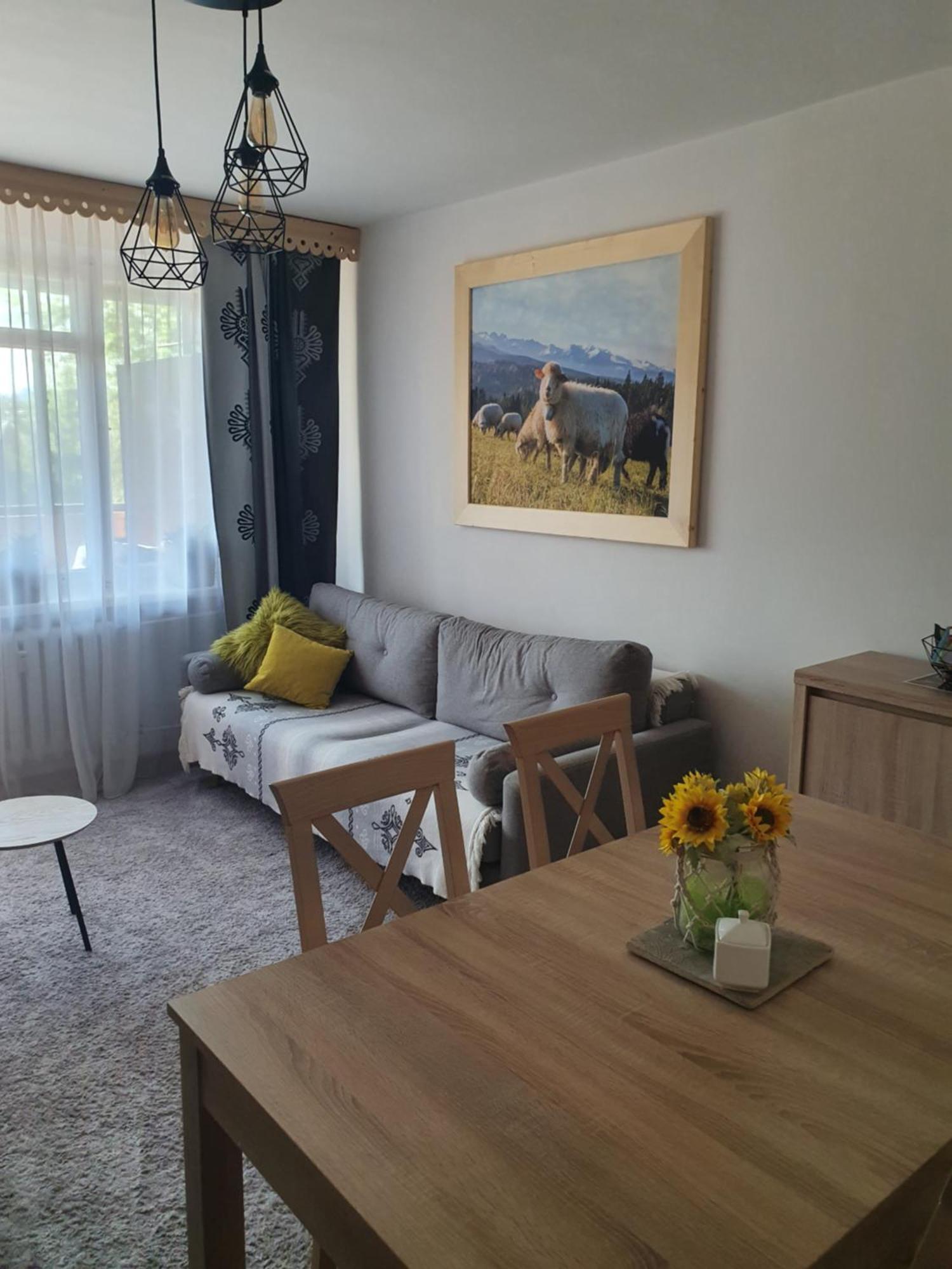 Apartament Regionalny Centrum ザコパネ 部屋 写真